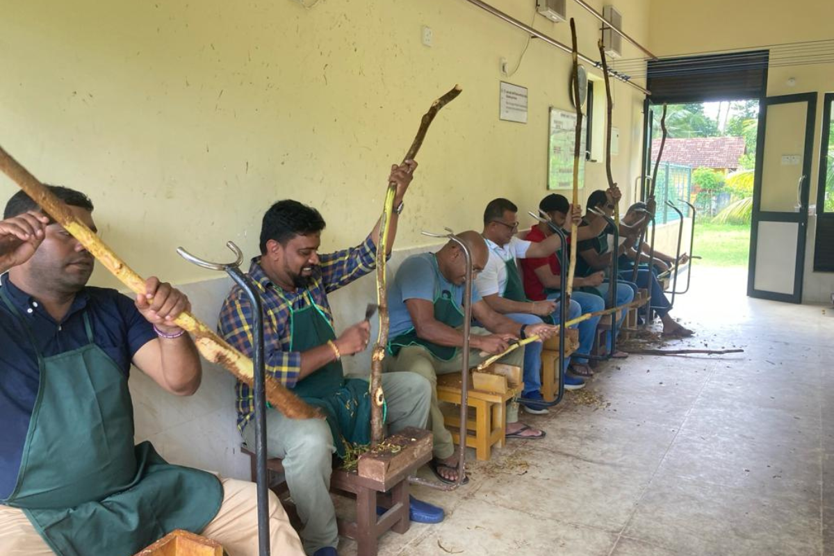 The Journey from Tree to To-Go Pack: How Ceylon Cinnamon is Harvested and Processed